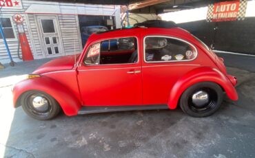 Volkswagen-Beetle-Classic-1974-Coupe-12