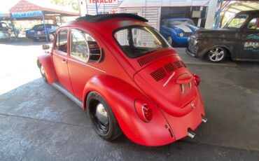 Volkswagen-Beetle-Classic-1974-Coupe-14