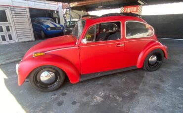Volkswagen-Beetle-Classic-1974-Coupe-16