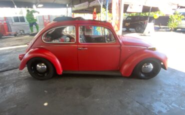 Volkswagen-Beetle-Classic-1974-Coupe-2