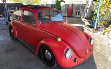 Volkswagen-Beetle-Classic-1974-Coupe-20