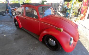 Volkswagen-Beetle-Classic-1974-Coupe-28