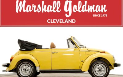 Volkswagen Beetle - Classic 1979 2D Convertible