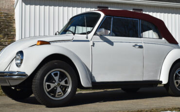 Volkswagen-Beetle-Classic-1979-Convertible-2