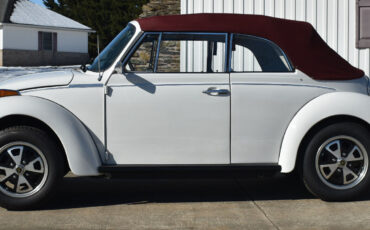 Volkswagen-Beetle-Classic-1979-Convertible-3