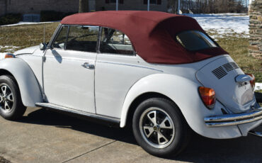Volkswagen-Beetle-Classic-1979-Convertible-4
