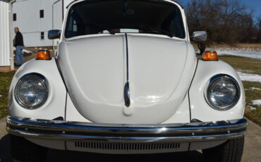 Volkswagen-Beetle-Classic-1979-Convertible-8