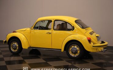 Volkswagen-Beetle-New-1974-Coupe-10