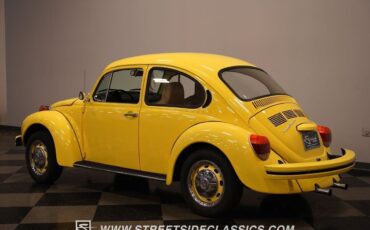 Volkswagen-Beetle-New-1974-Coupe-11