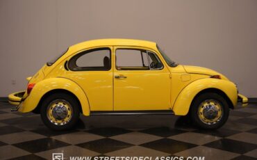 Volkswagen-Beetle-New-1974-Coupe-16