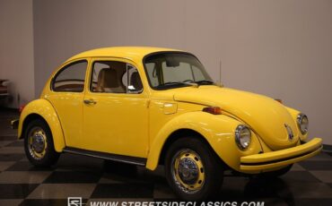 Volkswagen-Beetle-New-1974-Coupe-18
