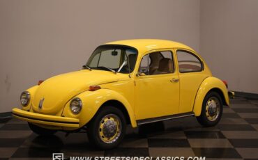 Volkswagen-Beetle-New-1974-Coupe-21