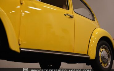 Volkswagen-Beetle-New-1974-Coupe-23