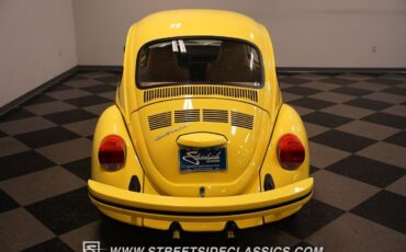 Volkswagen-Beetle-New-1974-Coupe-27