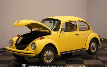Volkswagen-Beetle-New-1974-Coupe-34