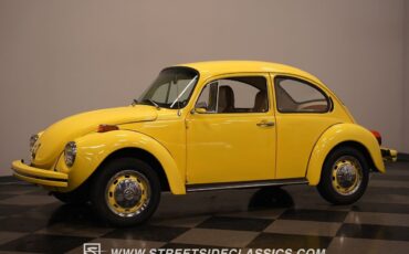 Volkswagen-Beetle-New-1974-Coupe-8