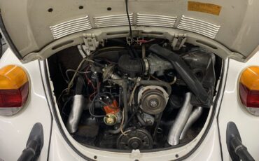 Volkswagen-Beetle-Pre-1980-1979-9