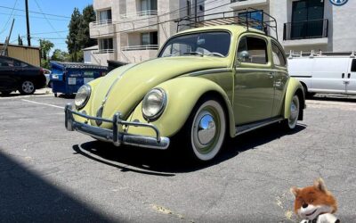 Volkswagen Beetle original paint 1960 Hatchback
