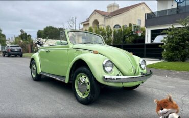 Volkswagen-Bug-convertible-1968-19