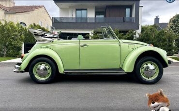Volkswagen-Bug-convertible-1968-20