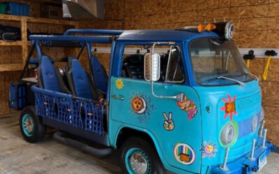 Volkswagen Bus/Vanagon 1973
