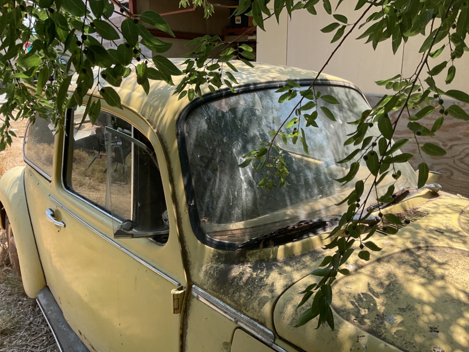 Volkswagen Bus/Vanagon 1974