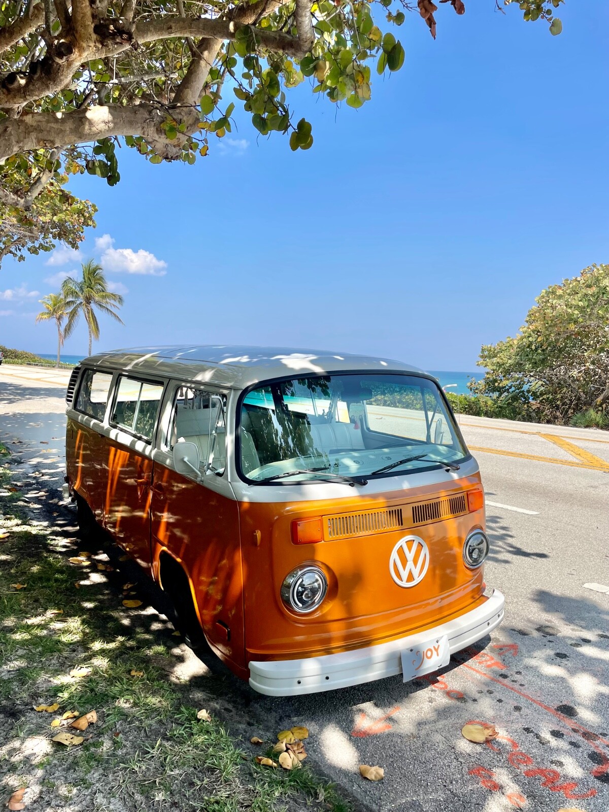 Volkswagen Bus/Vanagon 1977