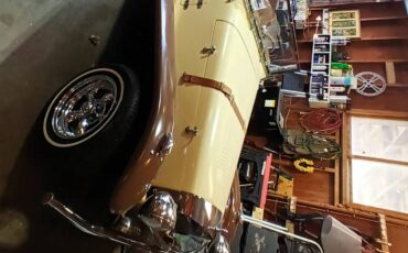 Volkswagen-Gazelle-1968-yellow-2
