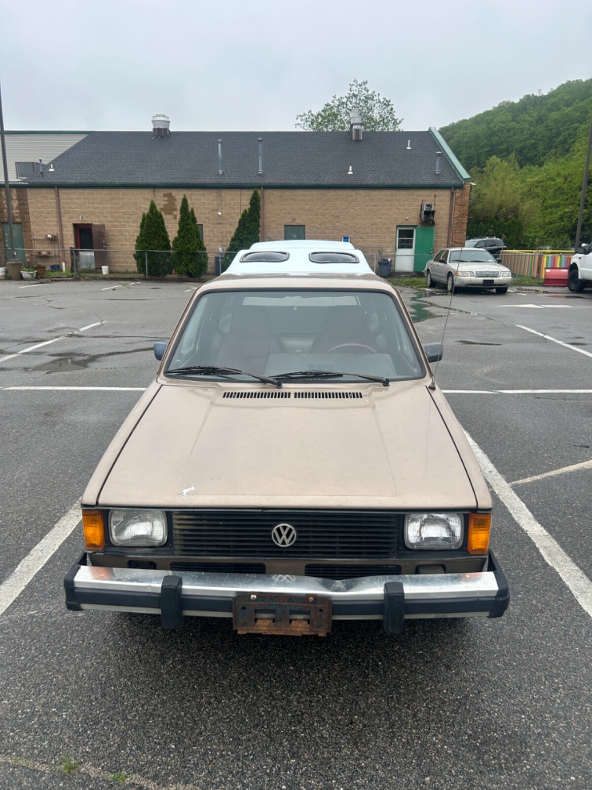 Volkswagen-Rabbit-1981-1