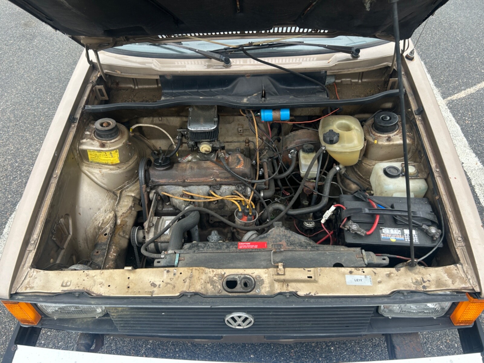 Volkswagen-Rabbit-1981-16