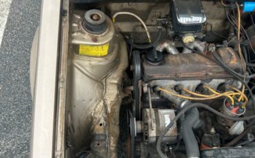 Volkswagen-Rabbit-1981-17