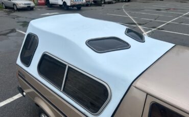 Volkswagen-Rabbit-1981-19