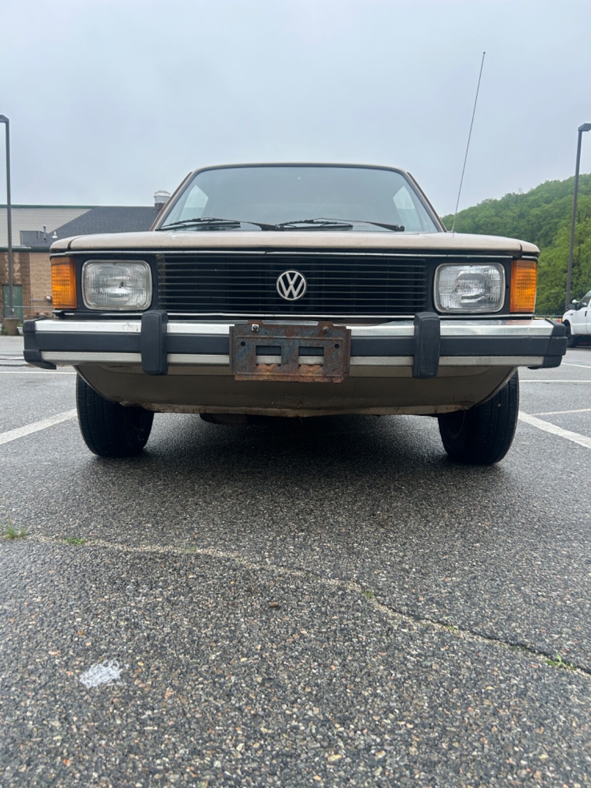Volkswagen-Rabbit-1981-2