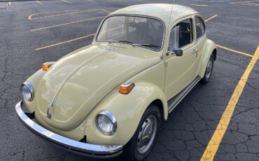 Volkswagen-Super-Beetle-1971-Sedan-1