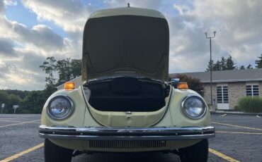 Volkswagen-Super-Beetle-1971-Sedan-10