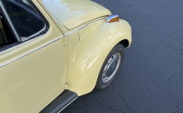 Volkswagen-Super-Beetle-1971-Sedan-14