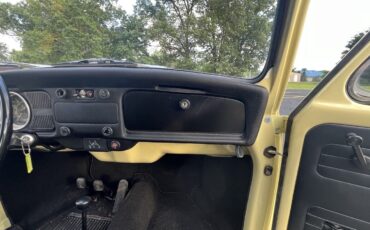 Volkswagen-Super-Beetle-1971-Sedan-28