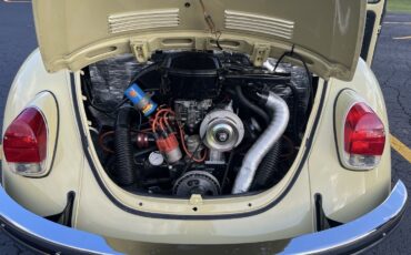Volkswagen-Super-Beetle-1971-Sedan-34