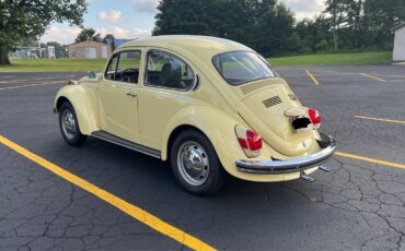 Volkswagen-Super-Beetle-1971-Sedan-4