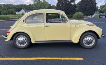Volkswagen-Super-Beetle-1971-Sedan-8