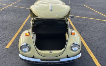 Volkswagen-Super-Beetle-1971-Sedan-9