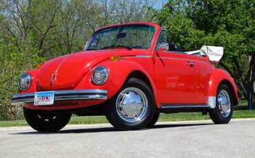 Volkswagen-Super-Beetle-1979-Convertible-10