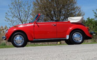 Volkswagen-Super-Beetle-1979-Convertible-13