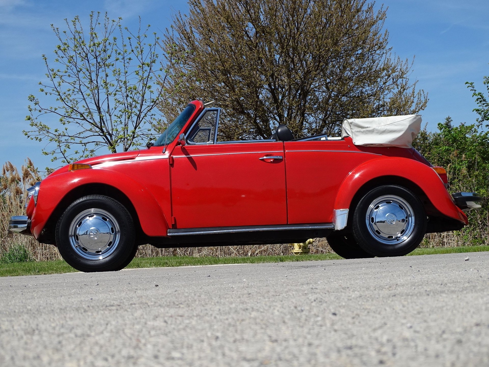 Volkswagen-Super-Beetle-1979-Convertible-13