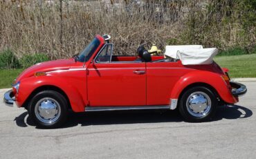 Volkswagen-Super-Beetle-1979-Convertible-14