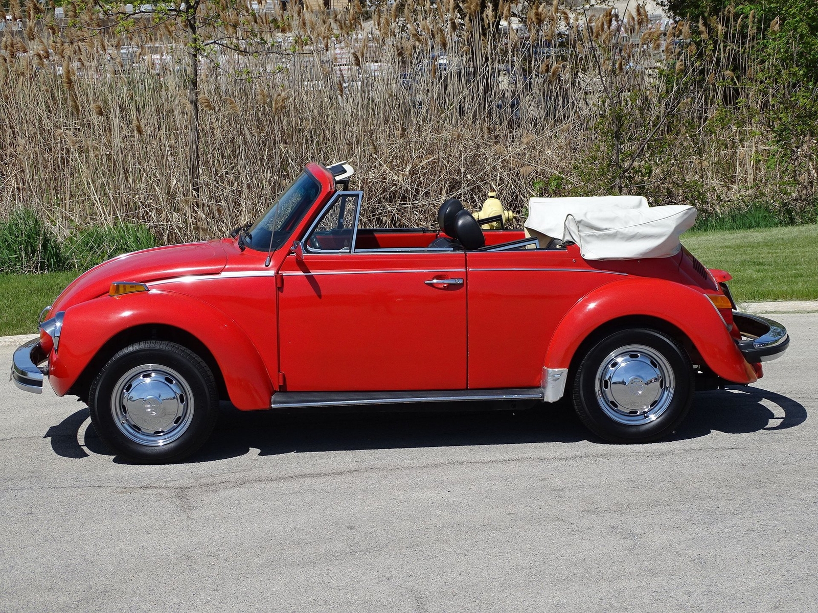 Volkswagen-Super-Beetle-1979-Convertible-14