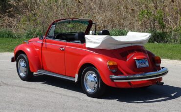 Volkswagen-Super-Beetle-1979-Convertible-16