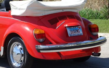 Volkswagen-Super-Beetle-1979-Convertible-17