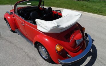 Volkswagen-Super-Beetle-1979-Convertible-20