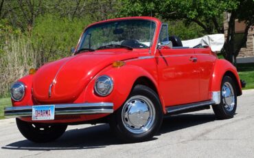 Volkswagen-Super-Beetle-1979-Convertible-9